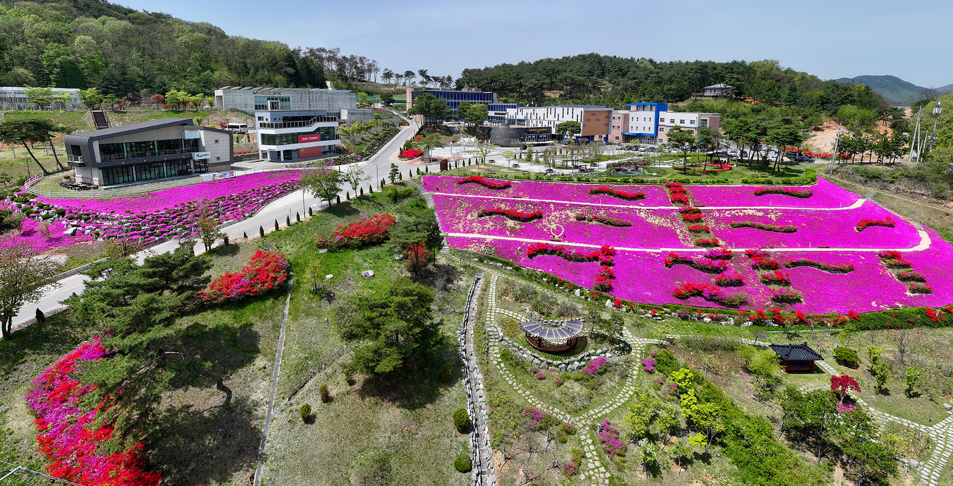 Sustainable Health In Life