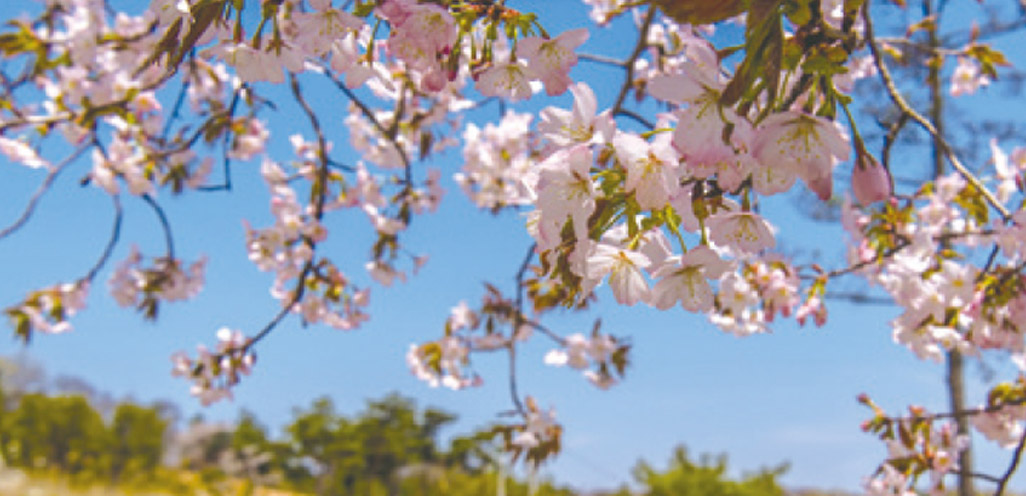 힐링 공원 사진