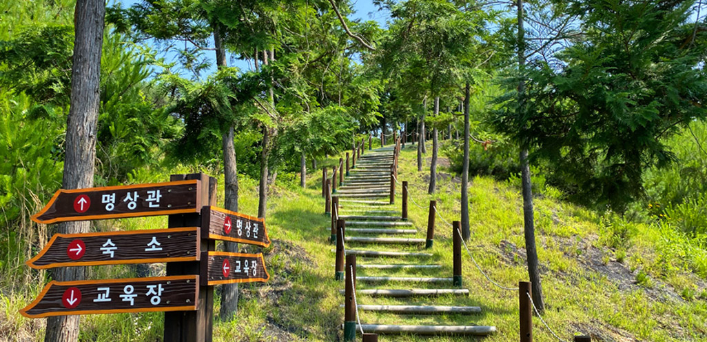 편백숲 산책로사진