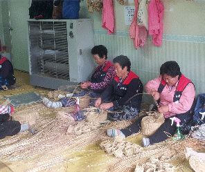 稻草海草养殖容器