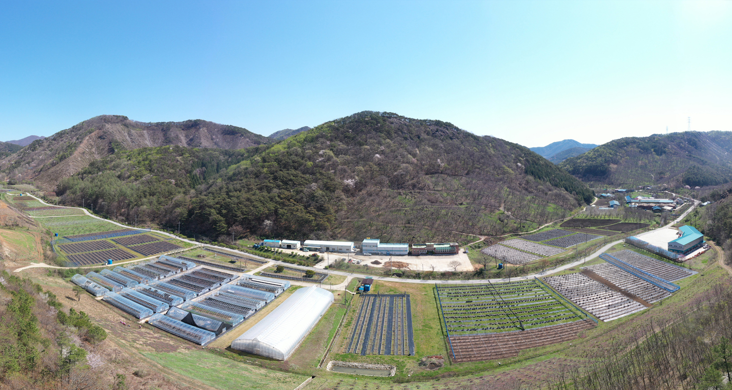 소득개발 시험포