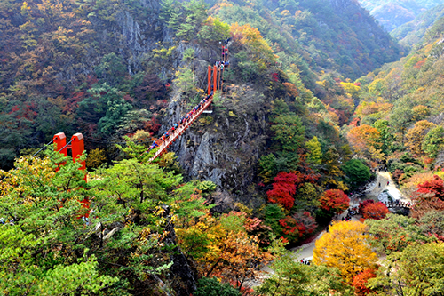 현수교(구름다리)