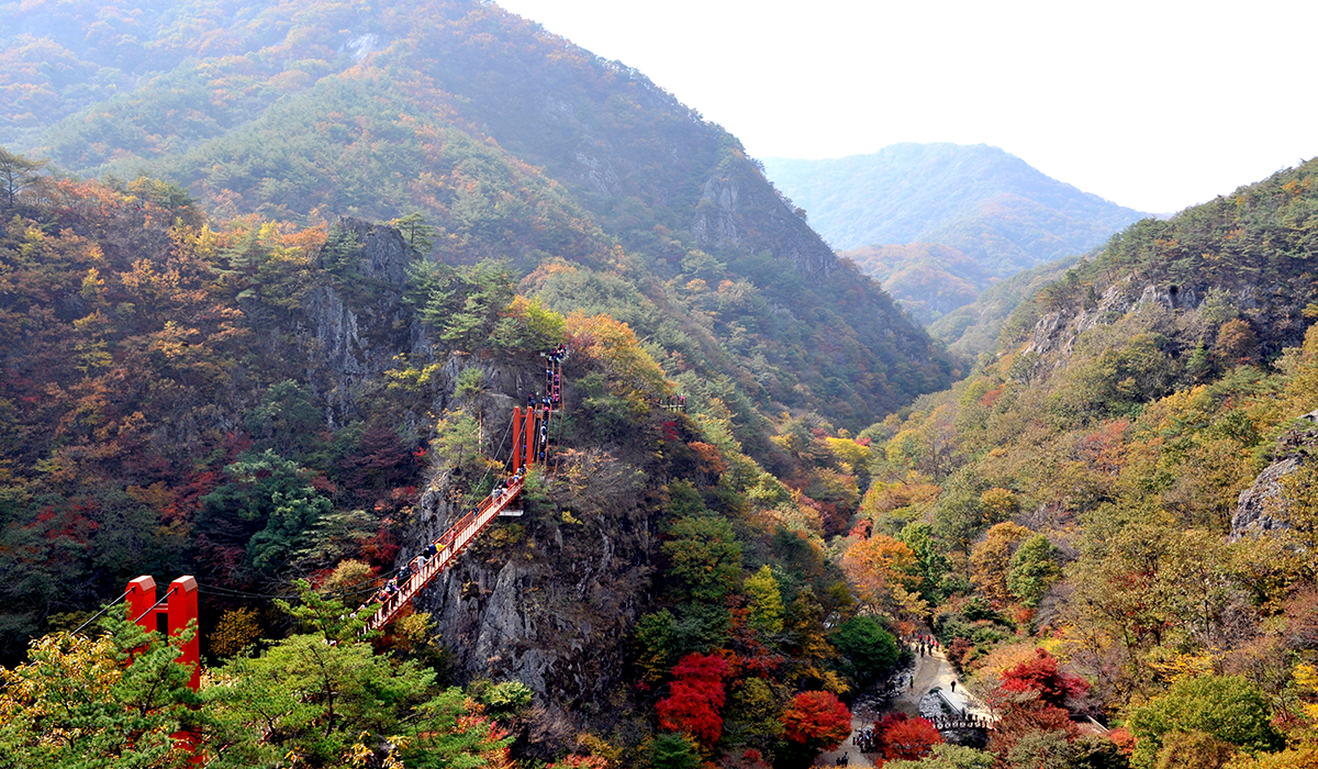 강천산 현수교 전경
