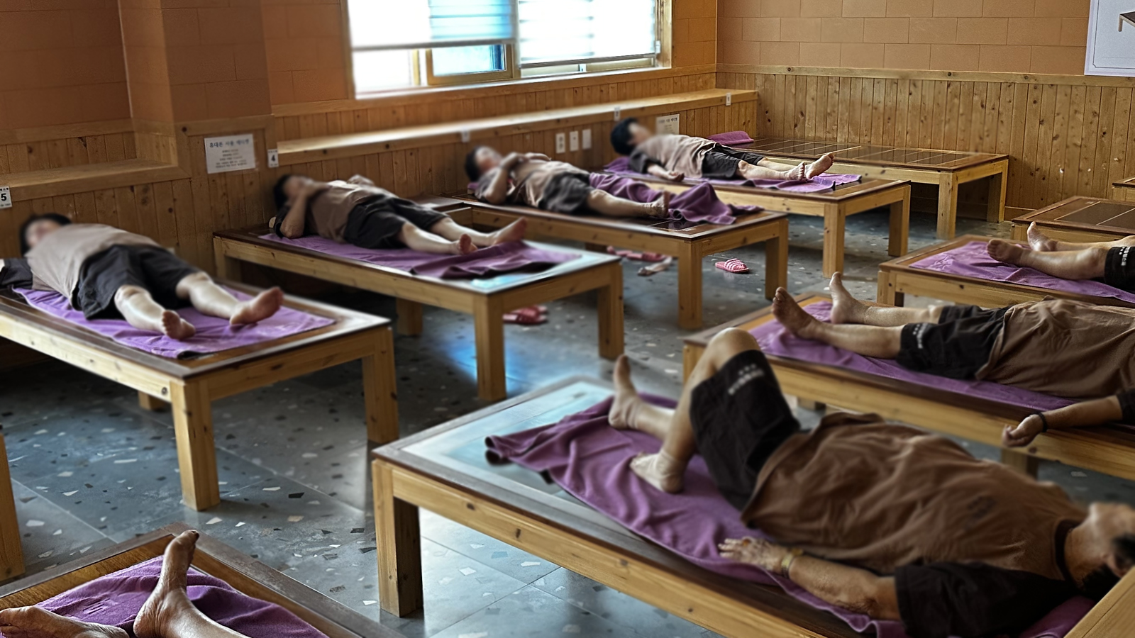 웰니스 프로그램 체험