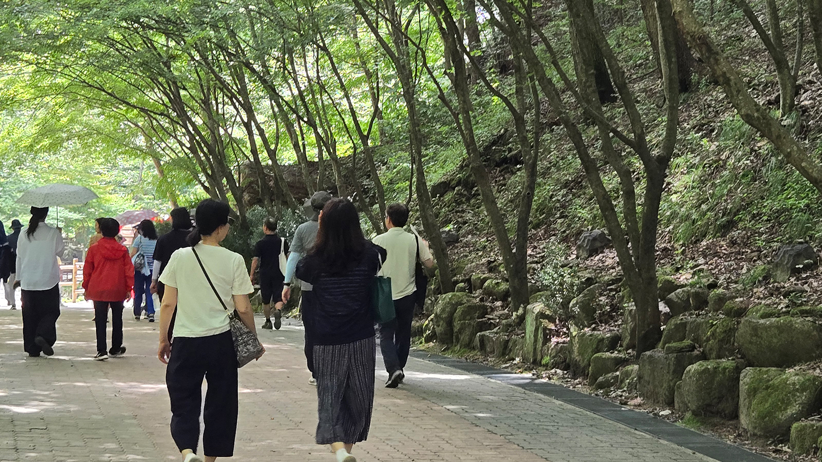 인생설계 직무연수 교육