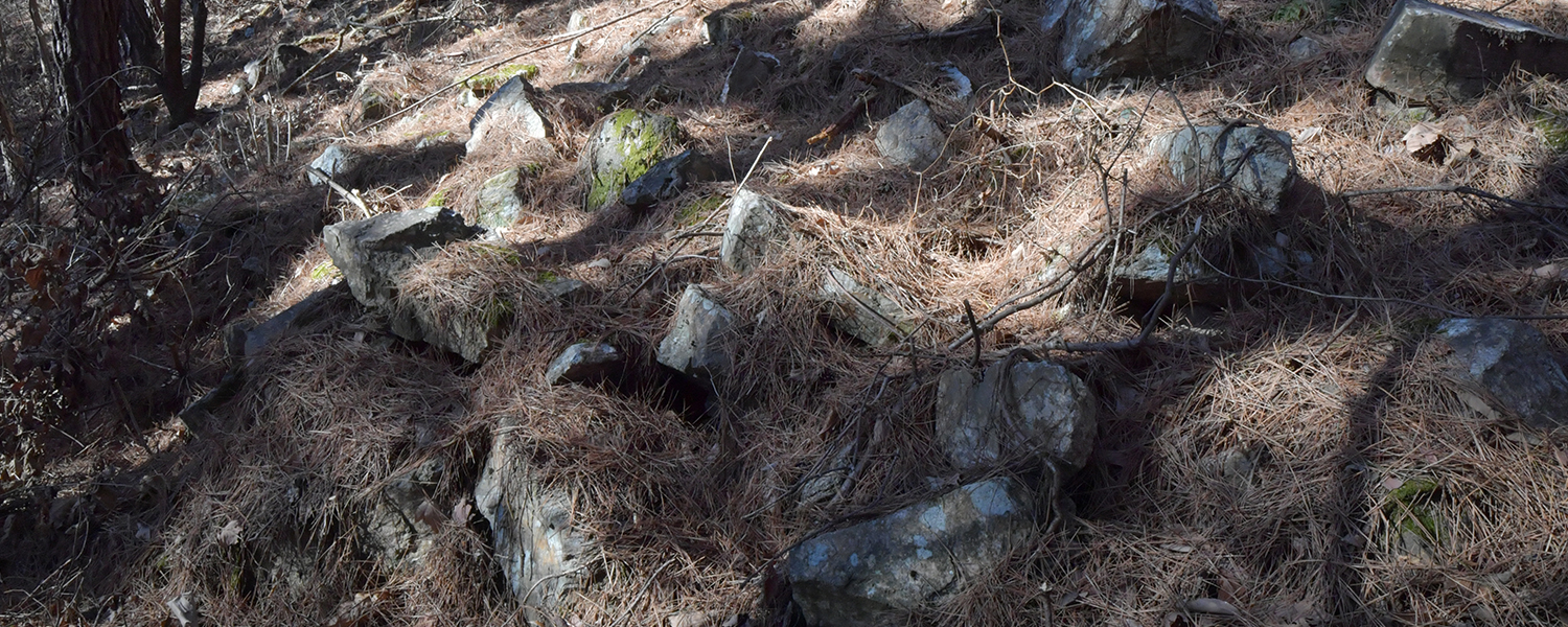 하위 내용 참조