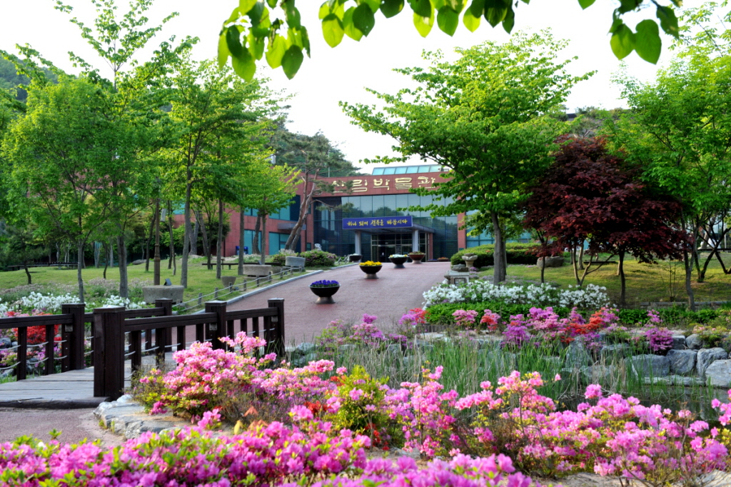 산림박물관 이미지(1)