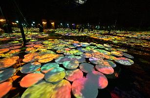 발효소스토굴 이미지(2)