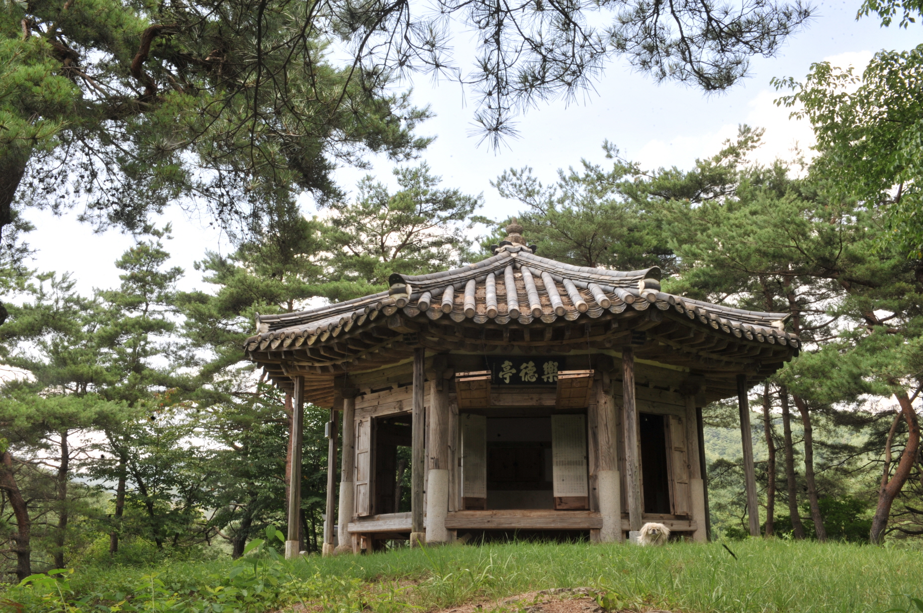 낙덕정 이미지(3)