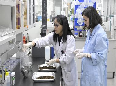 토양검정 숙련도 평가 전 항목 우수