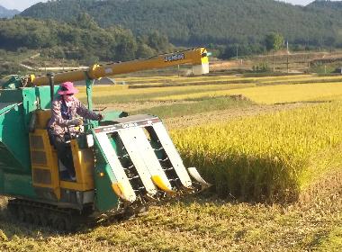 순창군, 친환경 벼 유통 물류비 지원... “판로 걱정 없는 농업 환경 조성”