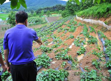 순창군, 유해야생동물 피해 농작물 보상 실시…최대 300만 원 지원