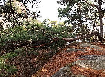 안갯속 순창 그리고 아미산