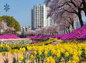 순창읍 양지천