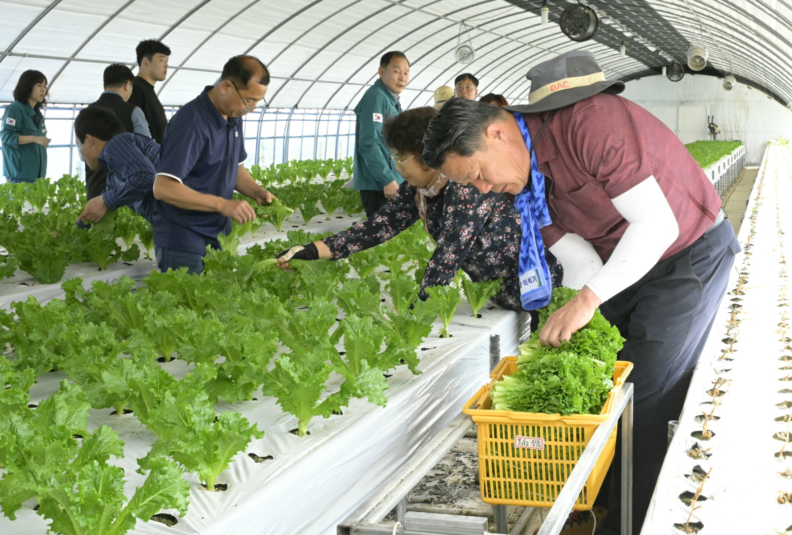 순창군, 봄철 농촌일손돕기 본격 추진…6월 말까지 집중 지원