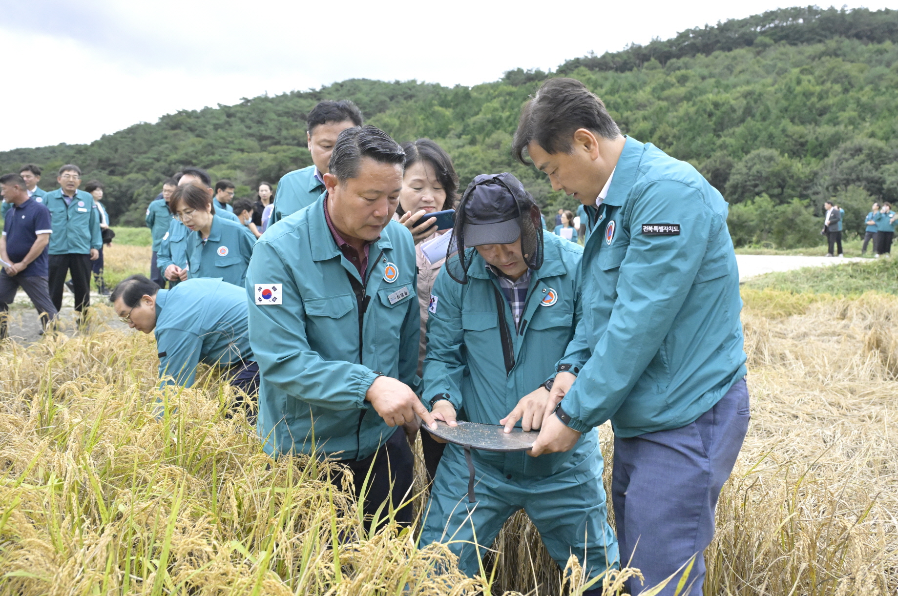 순창군, 벼 병해충 선제 대응 총력…벼멸구·도열병 조기 차단 나서