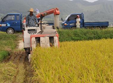 순창군, 친환경 쌀 소비 지원으로 농가·외식업체 ‘상생’