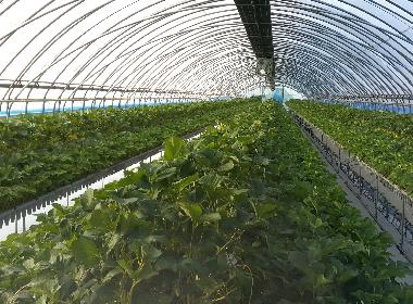 순창군, 친환경농산물 생산장려금 등 24억 8천만원 지급