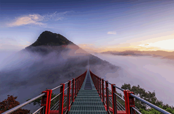 출렁다리