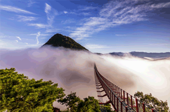 출렁다리