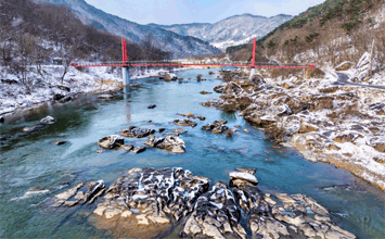 장군목