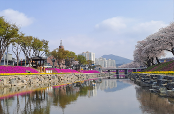 양지천 사진