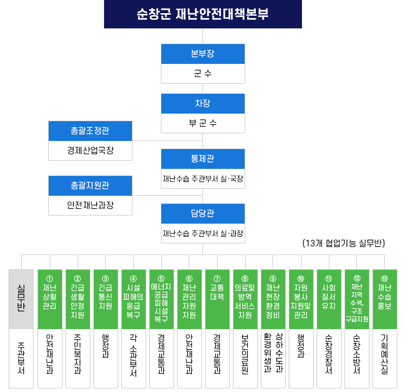 재난안전대책본부 조직도로 자세한 내용 본문에 있음