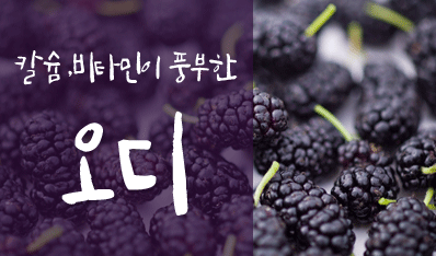 칼슘,비타민이 풍부한 오디