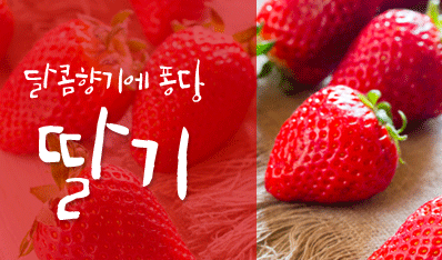 달콤향기에 퐁당 딸기