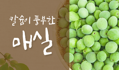 칼슘이 풍부한 매실
