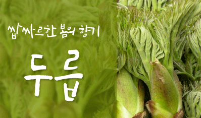 쌉싸르한 봄의 향기 두릅
