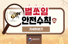 벌쏘임안전수칙안내